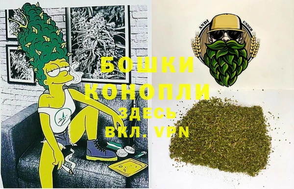 2c-b Бородино