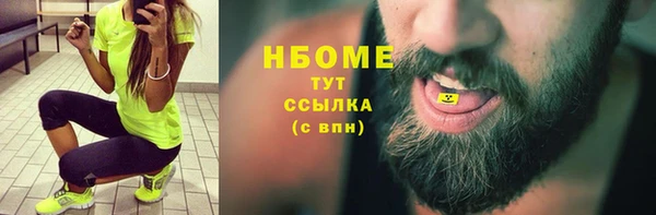 2c-b Бородино
