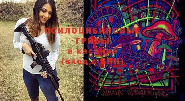 2c-b Бородино